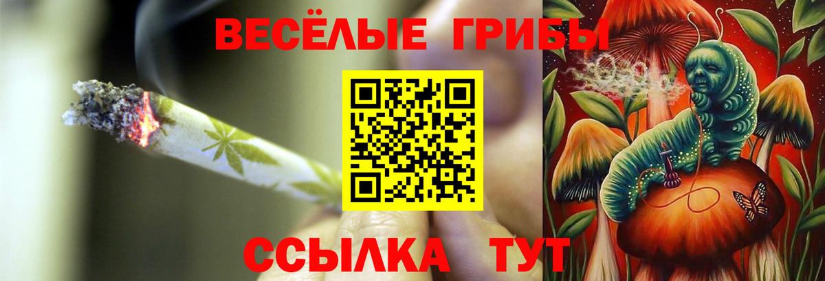 Псилоцибиновые грибы GOLDEN TEACHER  Галлюциногенные грибы Psilocybe  Вход с VPN  Карачаевск 