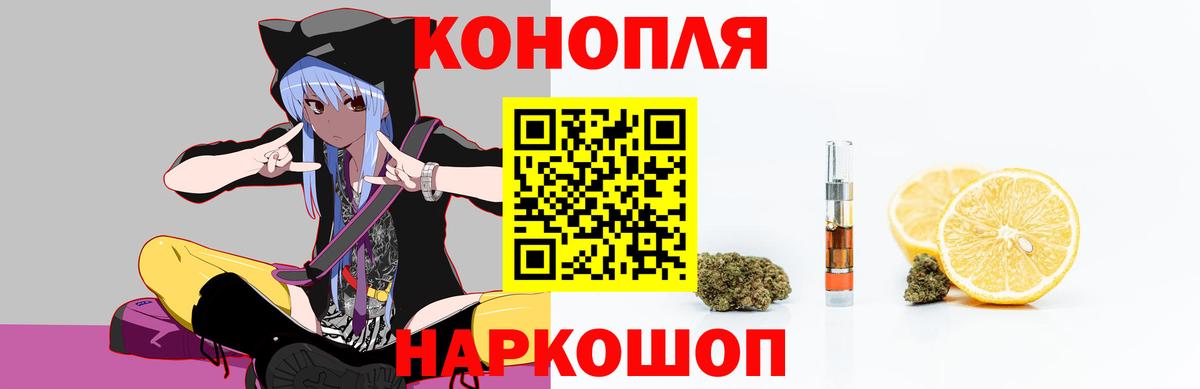 Бошки марихуана тримм  Вход с VPN  Карачаевск  Каннабис гибрид 